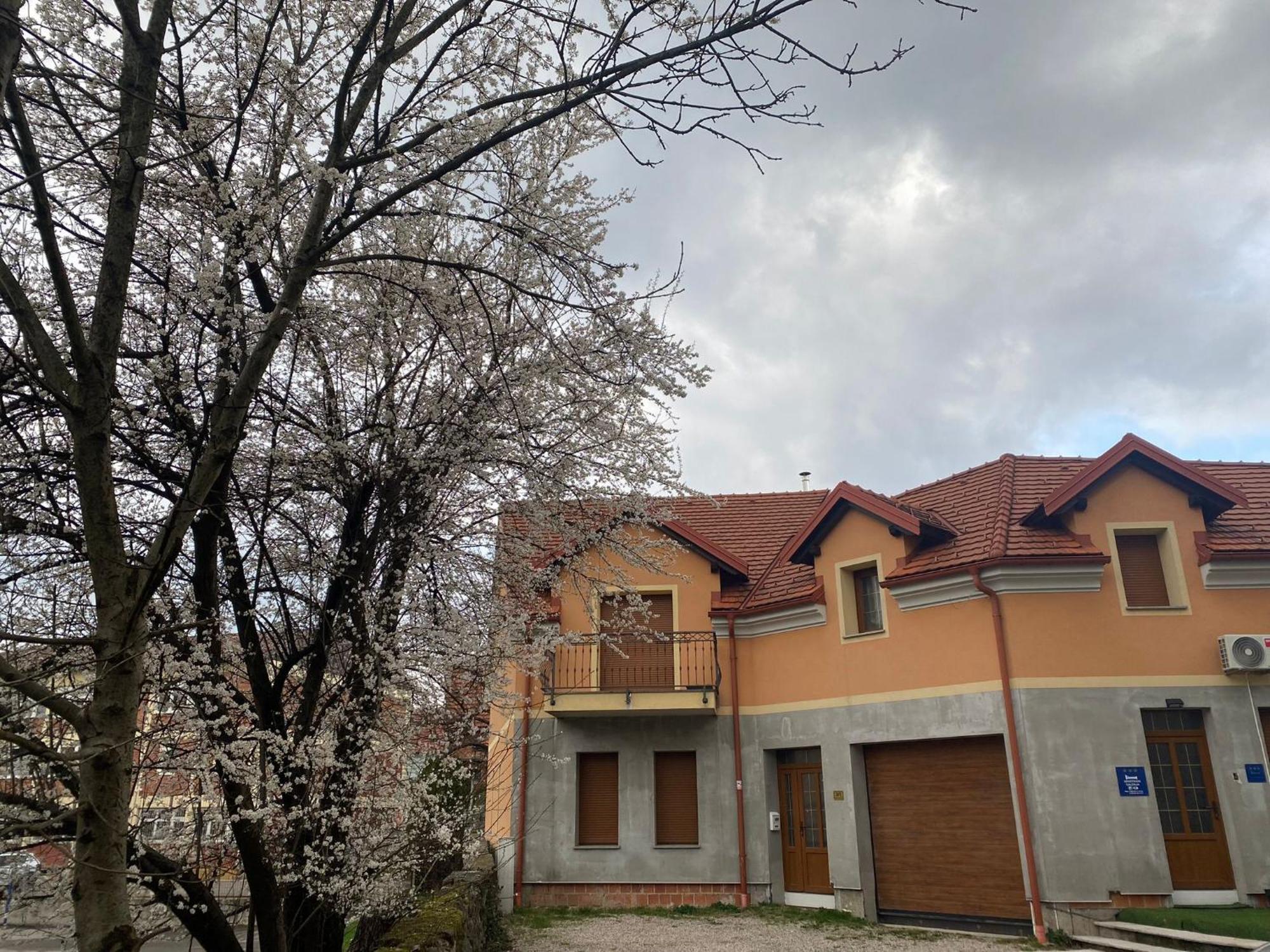 Apartman Galerija Ogulin Dış mekan fotoğraf